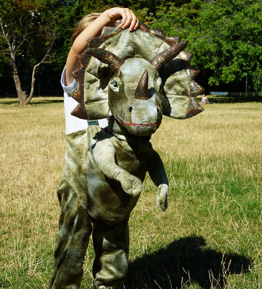 Costume à enfiler Triceratops 3 à 8 ans. Déguisement de dinosaure Mirror Mirror