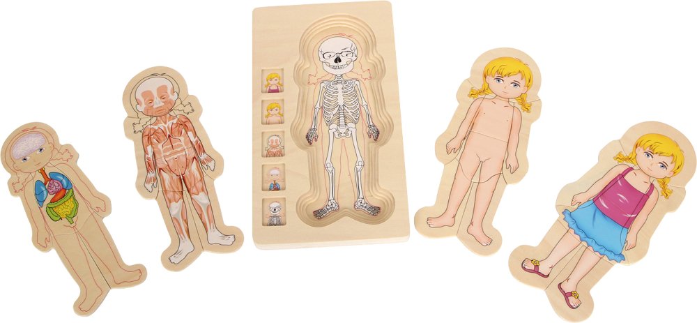 Puzzle en bois pour enfant du corps humain Fille