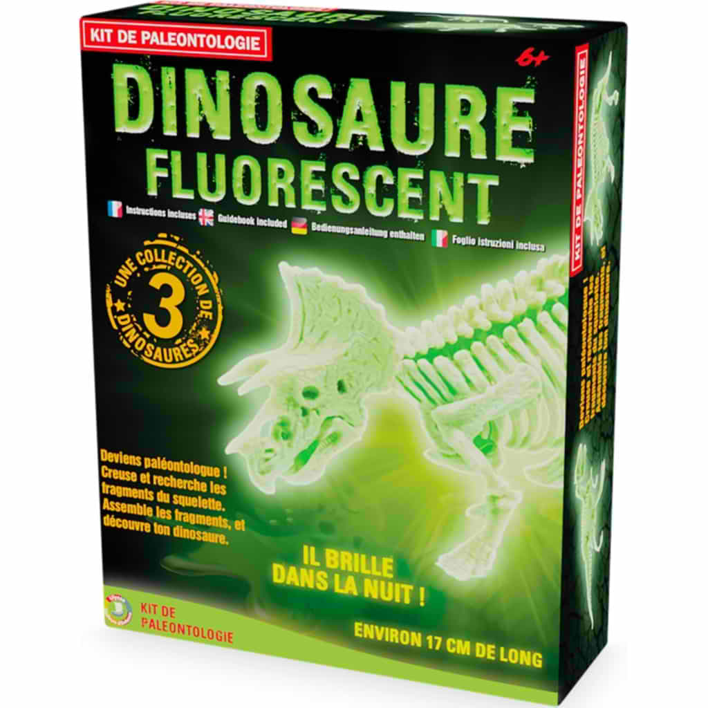 Kit de fouille dinosaure phosphorescent