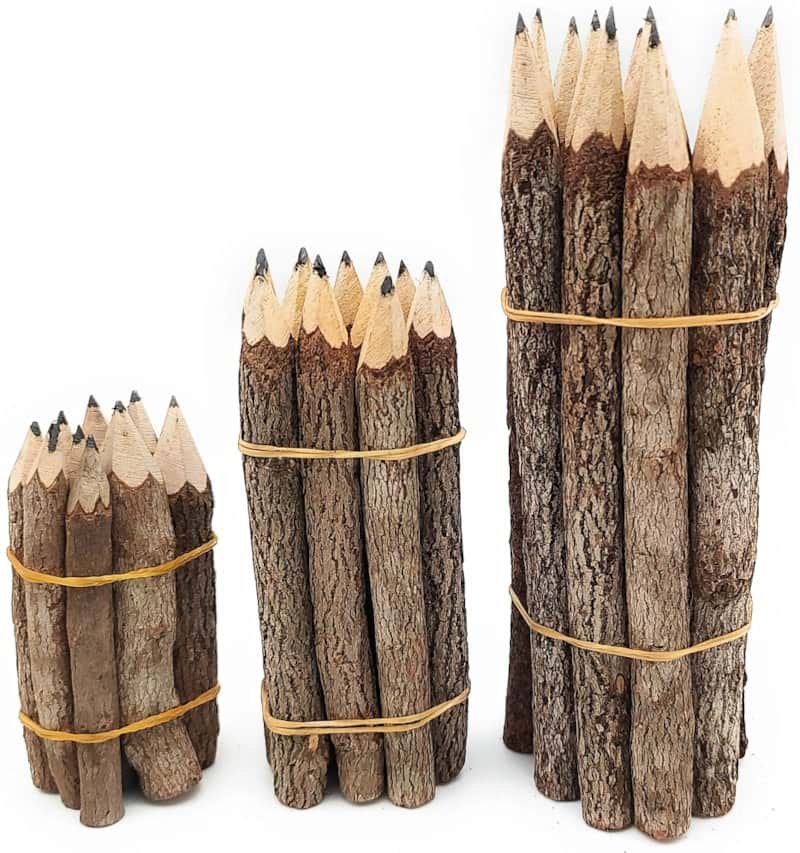 Crayon de papier en bois de vigne de la jungle