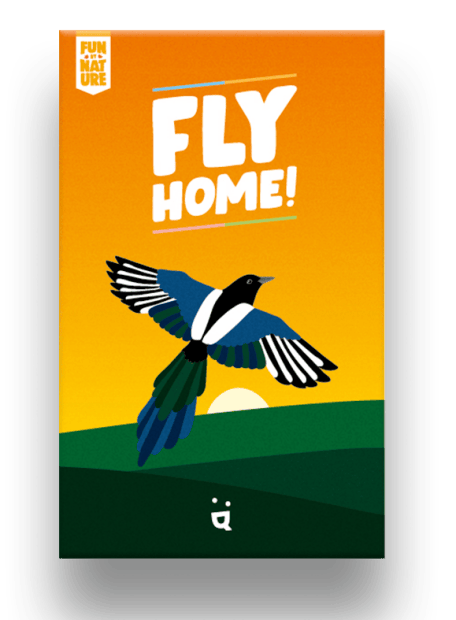 Fly home ! jeu de société Helvetiq