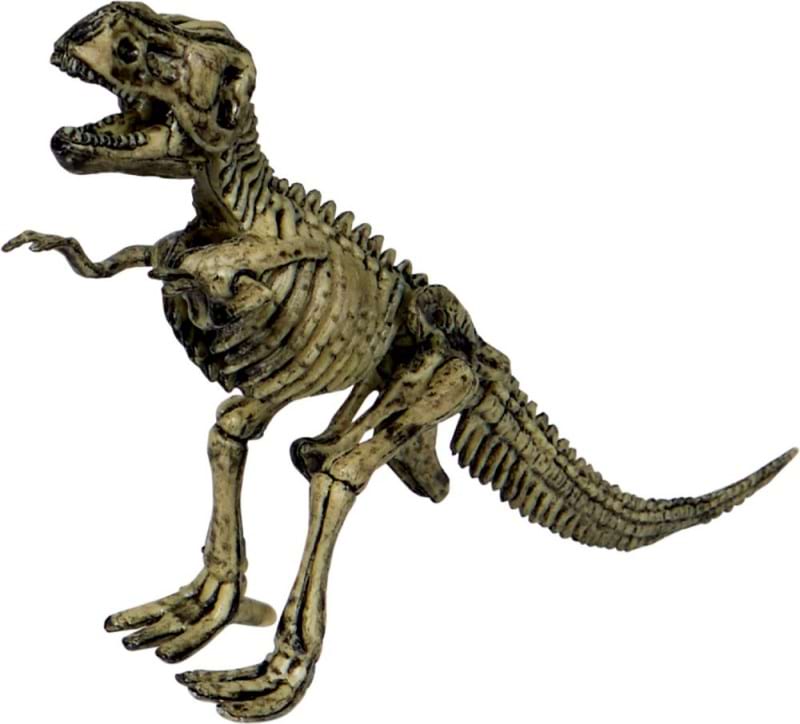 Déterre ton dinosaure! kit de fouille archéologique, classique ou fluorescent