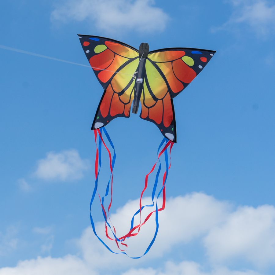 Cerf volant à tirer Papillon (3 couleurs)