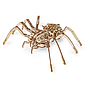 Maquette d'araignée mobile en bois